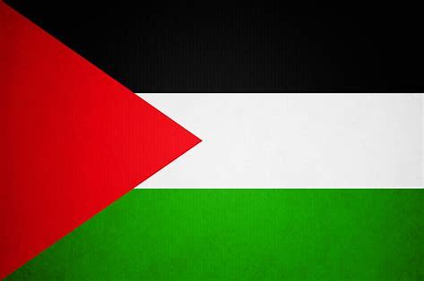 A Chapter From the First in A Series of Books on “Resistances”: Brief History Of Palestinian Resistance Against Zionist Colonialism
